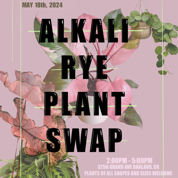 Plant Swap!