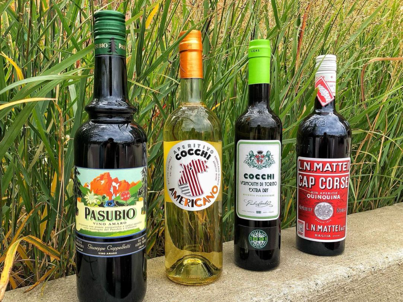 Tasting Bar: Aromatized Wines