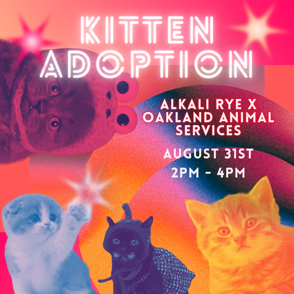 Kitten Adoption