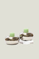 Two silver candle holders with green candles on a white background