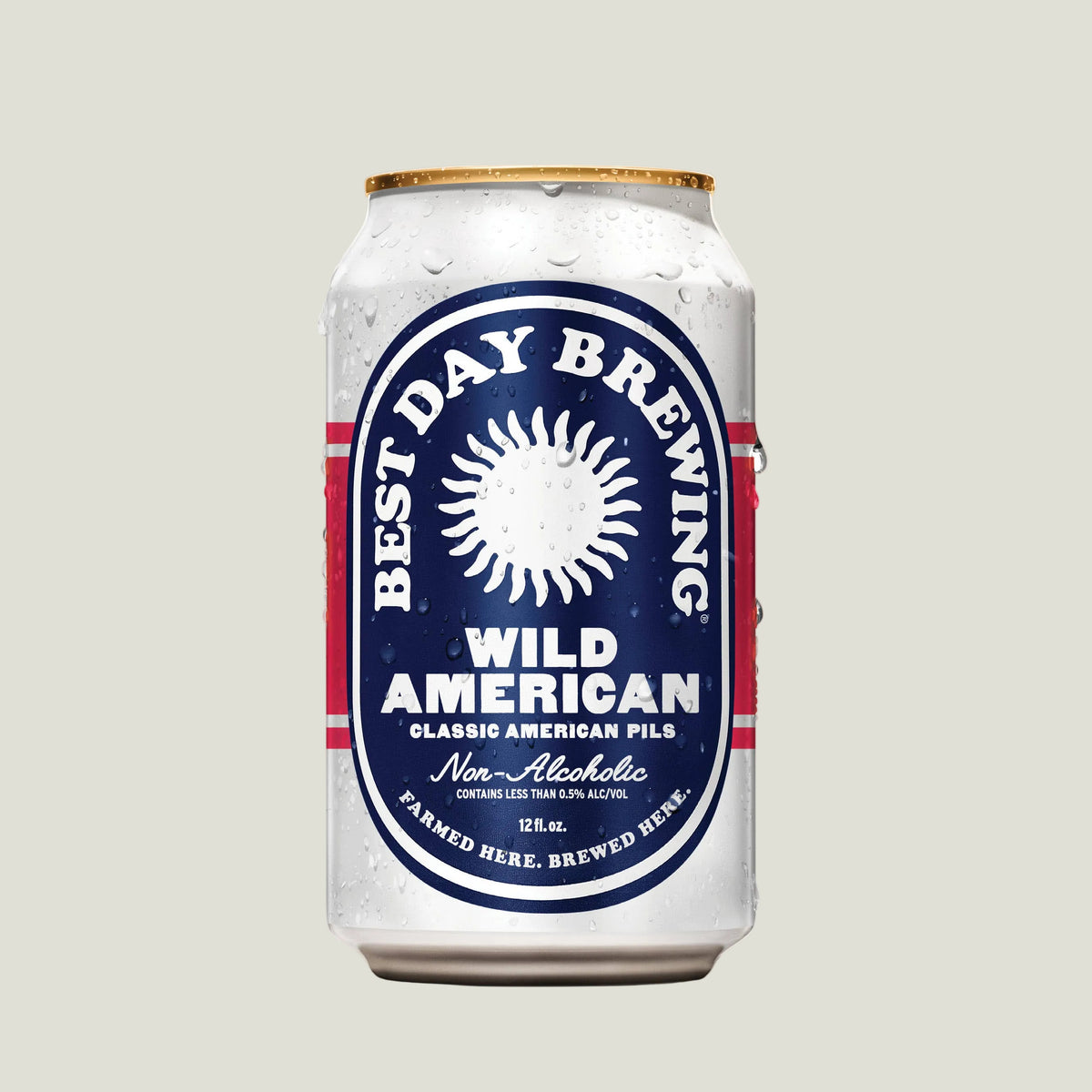 Wild American Pilsner (NA) – Alkali Rye - Oakland's Beverage Shop